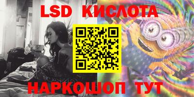 стафф Новозыбков