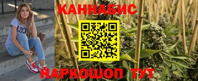 стафф Новозыбков