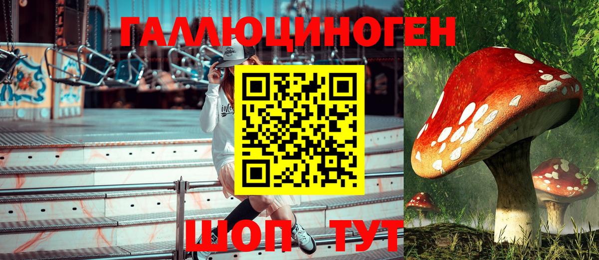 Псилоцибиновые грибы MAGIC MUSHROOMS Пугачёв