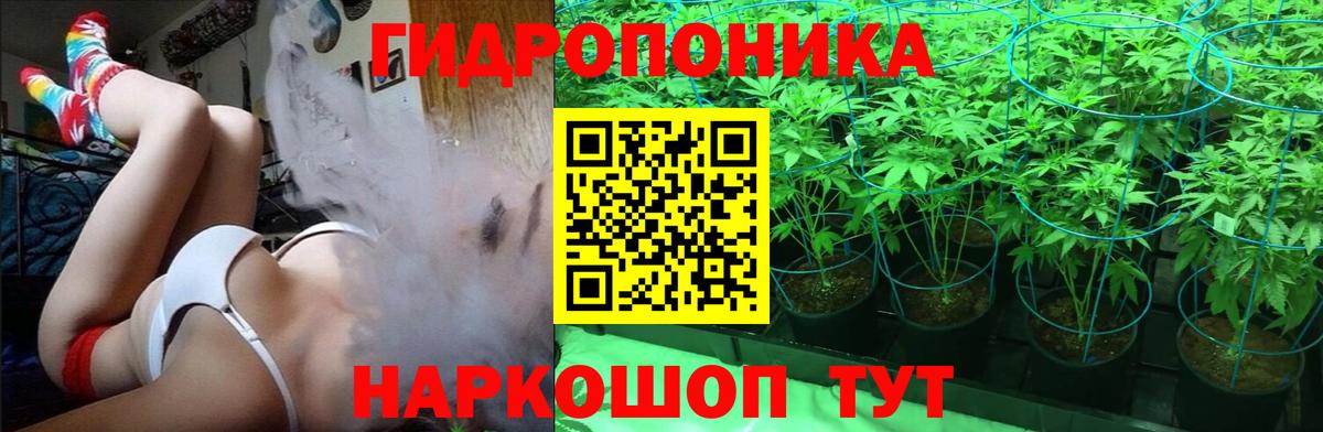 Канабис семена  Бошки Шишки сатива  Пугачёв  Вход с VPN  МАРИХУАНА индика  Шишки марихуана VHQ 